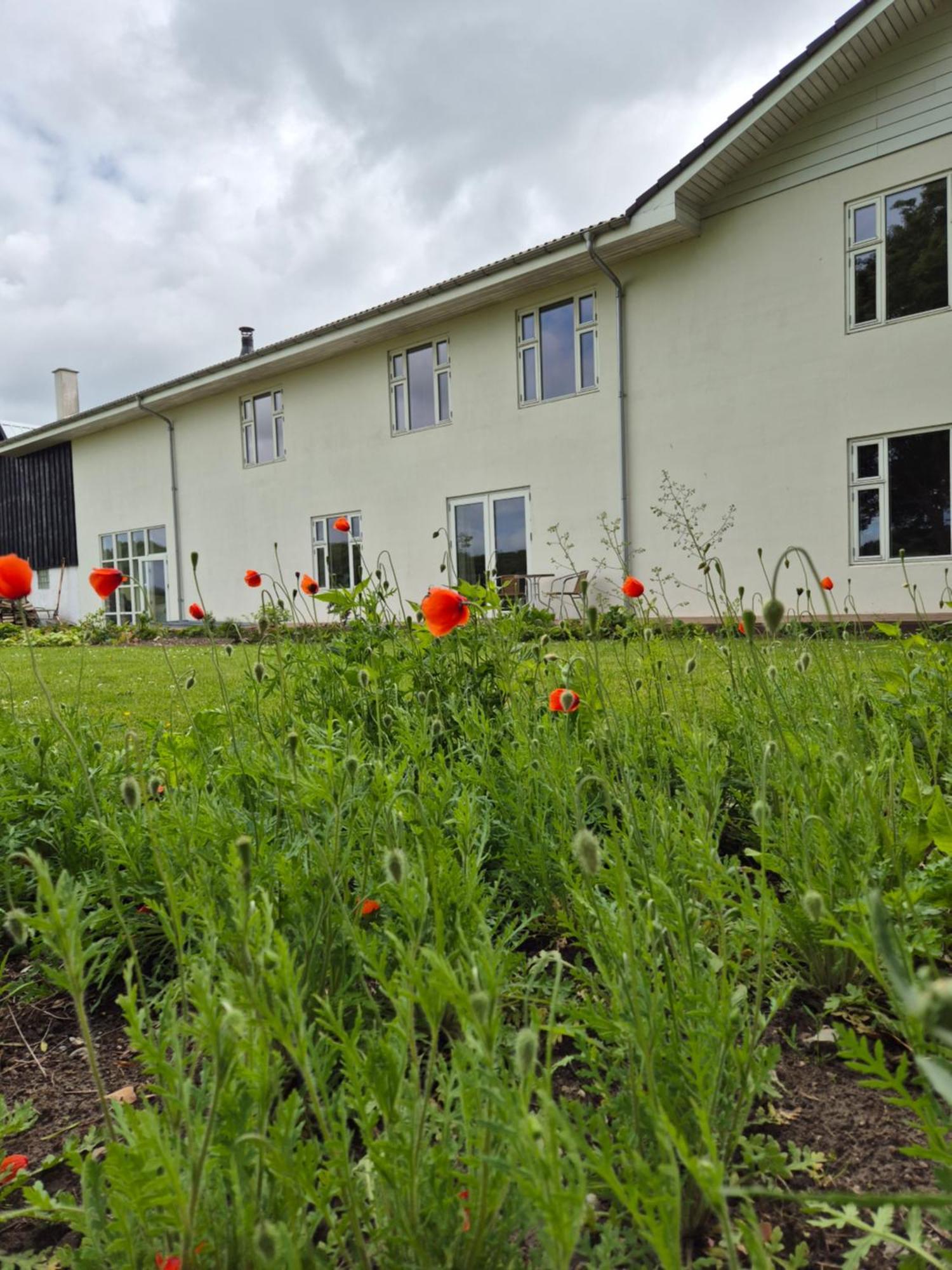 Mols Bed & Breakfast Knebel Zewnętrze zdjęcie