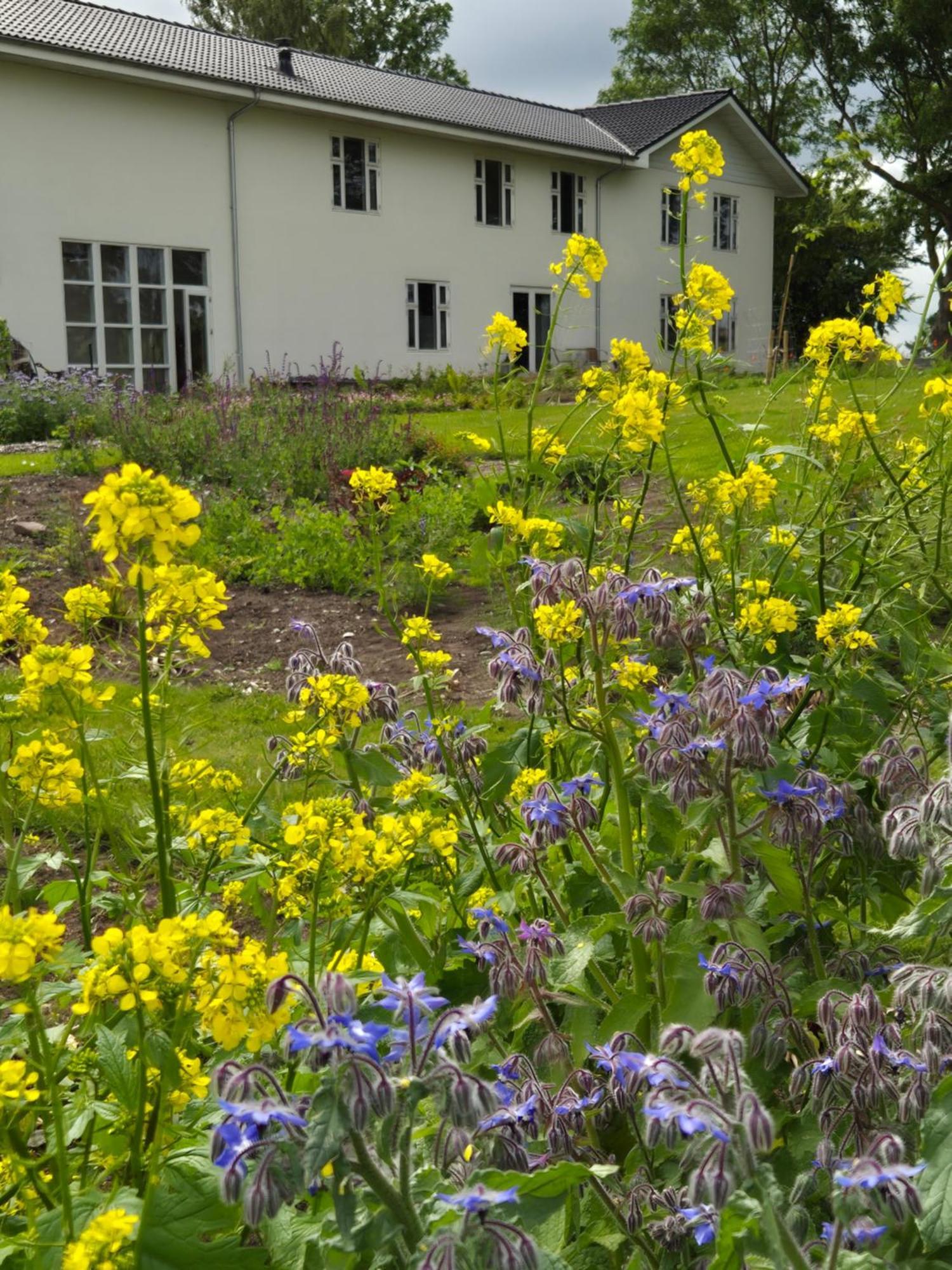 Mols Bed & Breakfast Knebel Zewnętrze zdjęcie